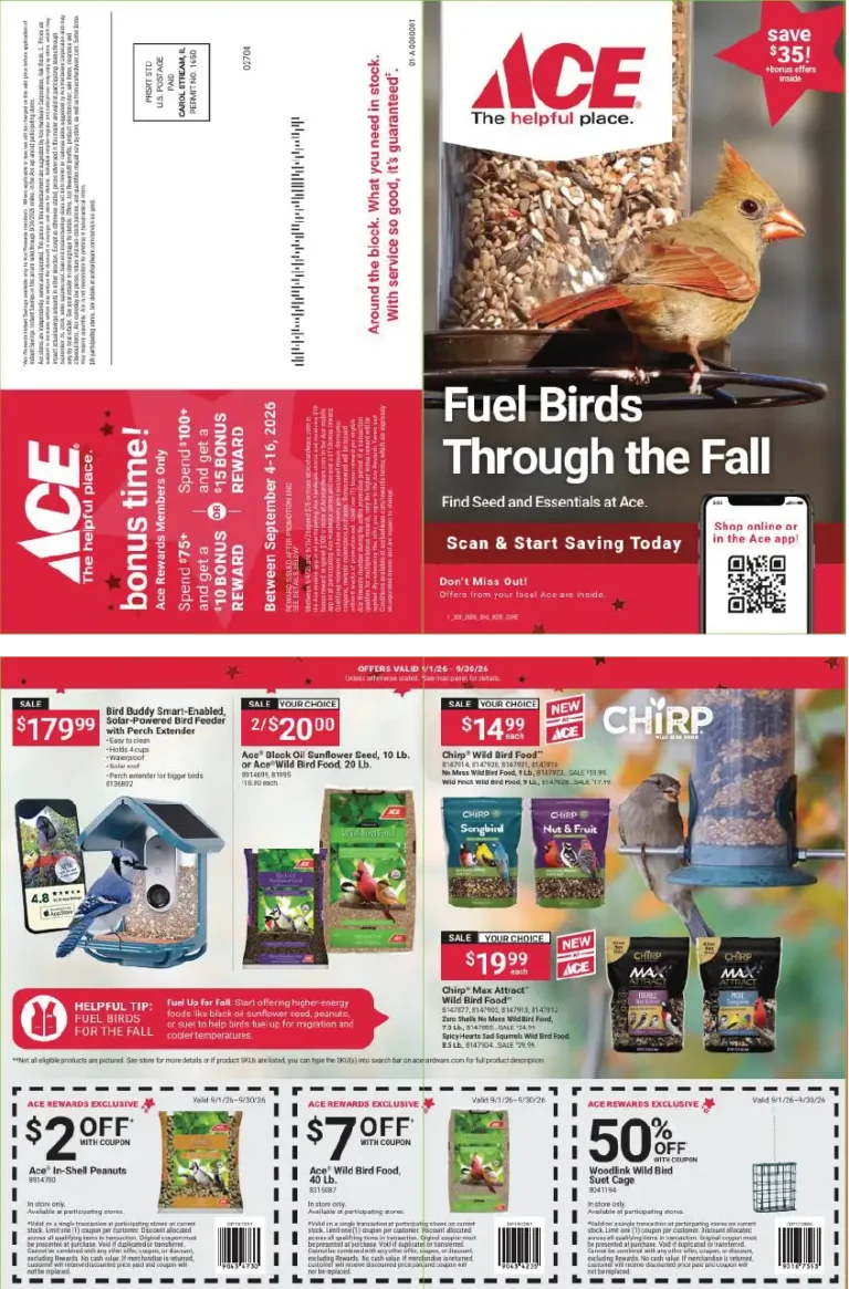 September-2026-Offers-01